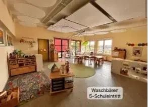 waschbaeren