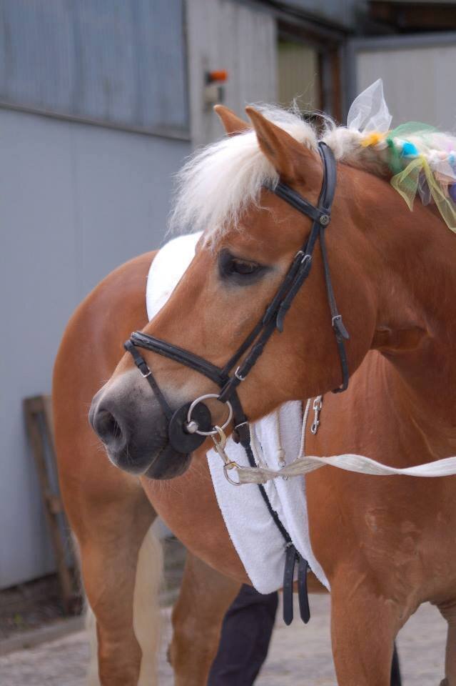 Aramis