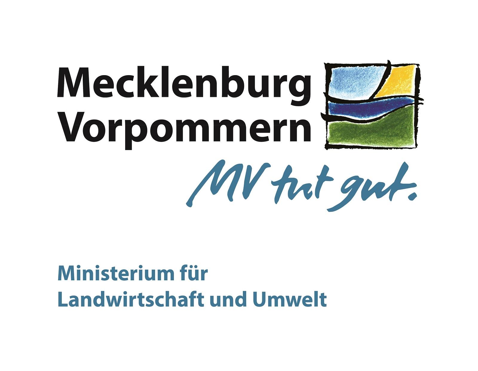 MV Logo