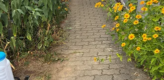 referenz-stein2