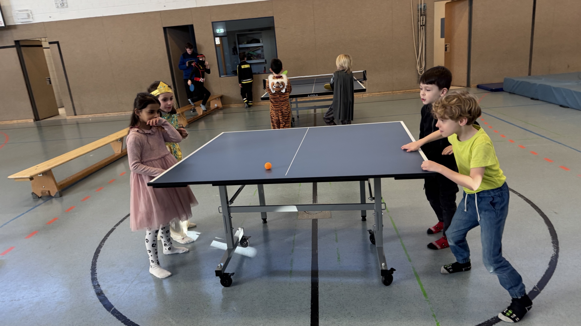Tischtennisplatte