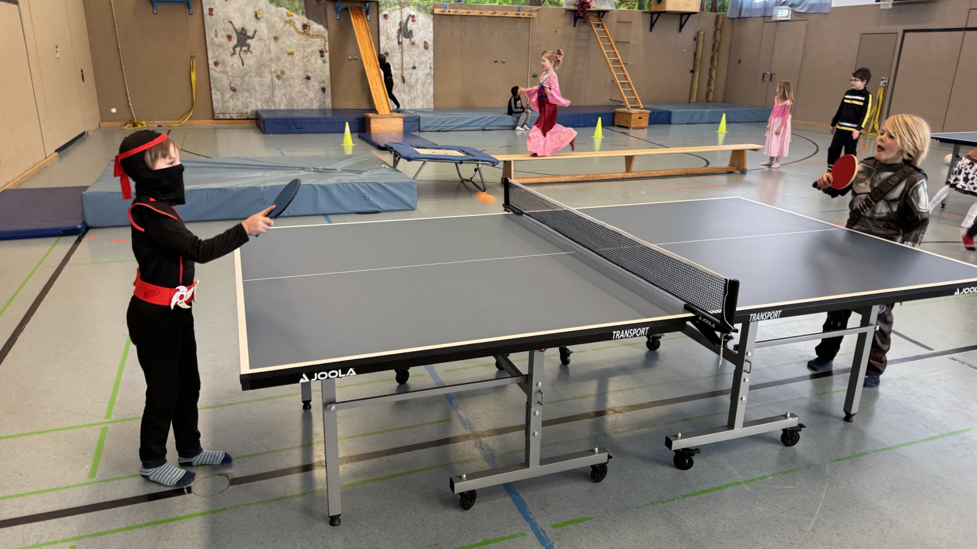 Tischtennisplatte