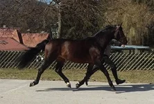 14.4