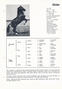 18.2