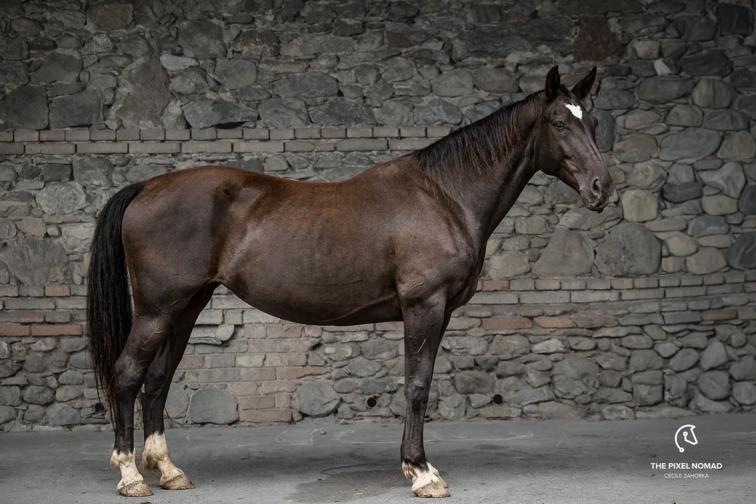 Flocke_Cecilé Zahorka