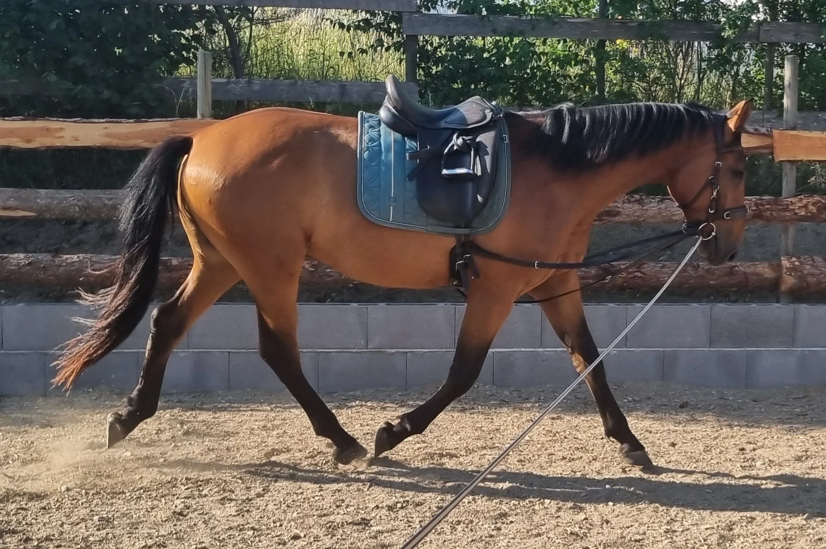 Attempto 3_Kirstin Heilig