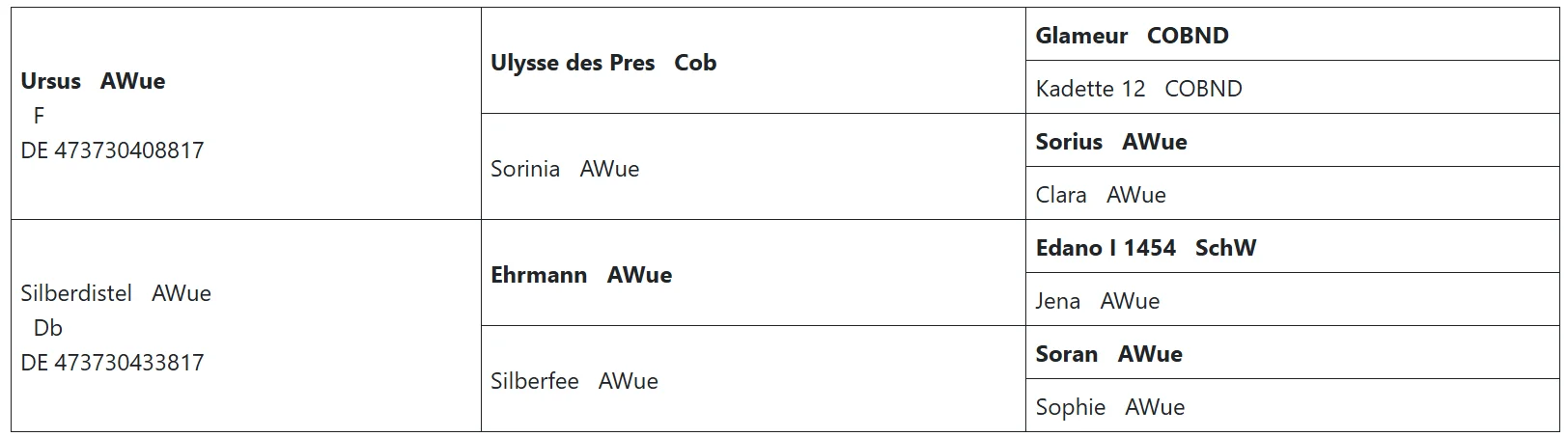 LRV Urano_Pedigree
