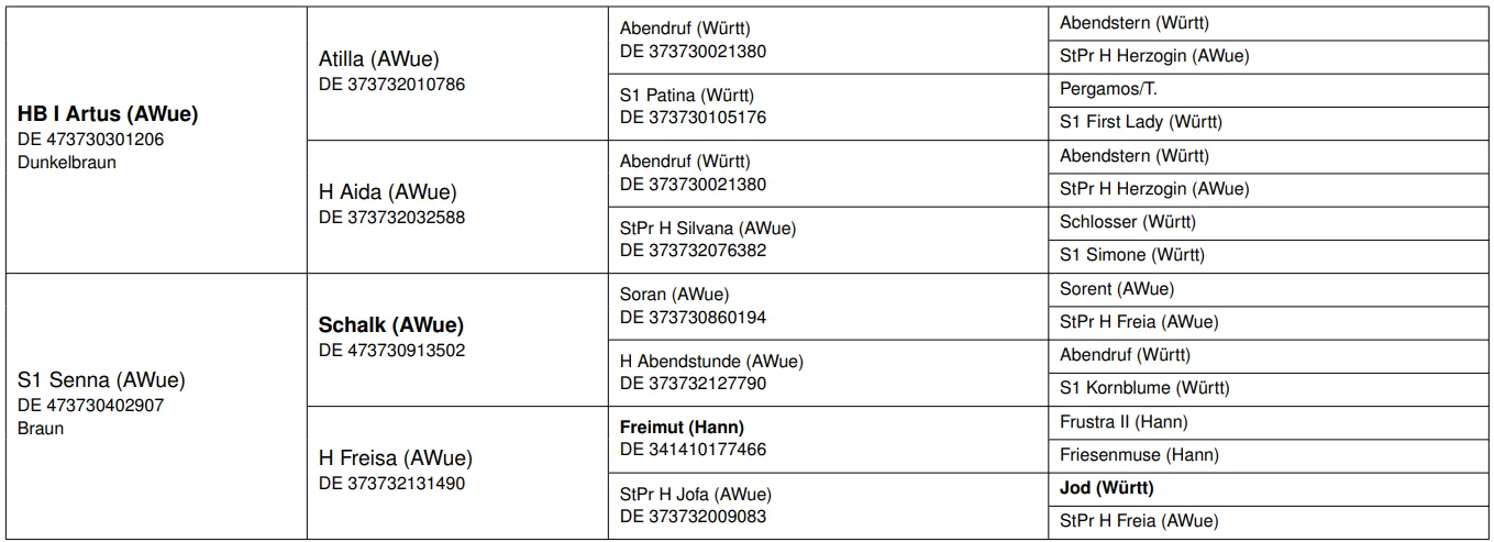LVV Aragon_Pedigree groß