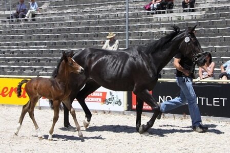 Sancho
