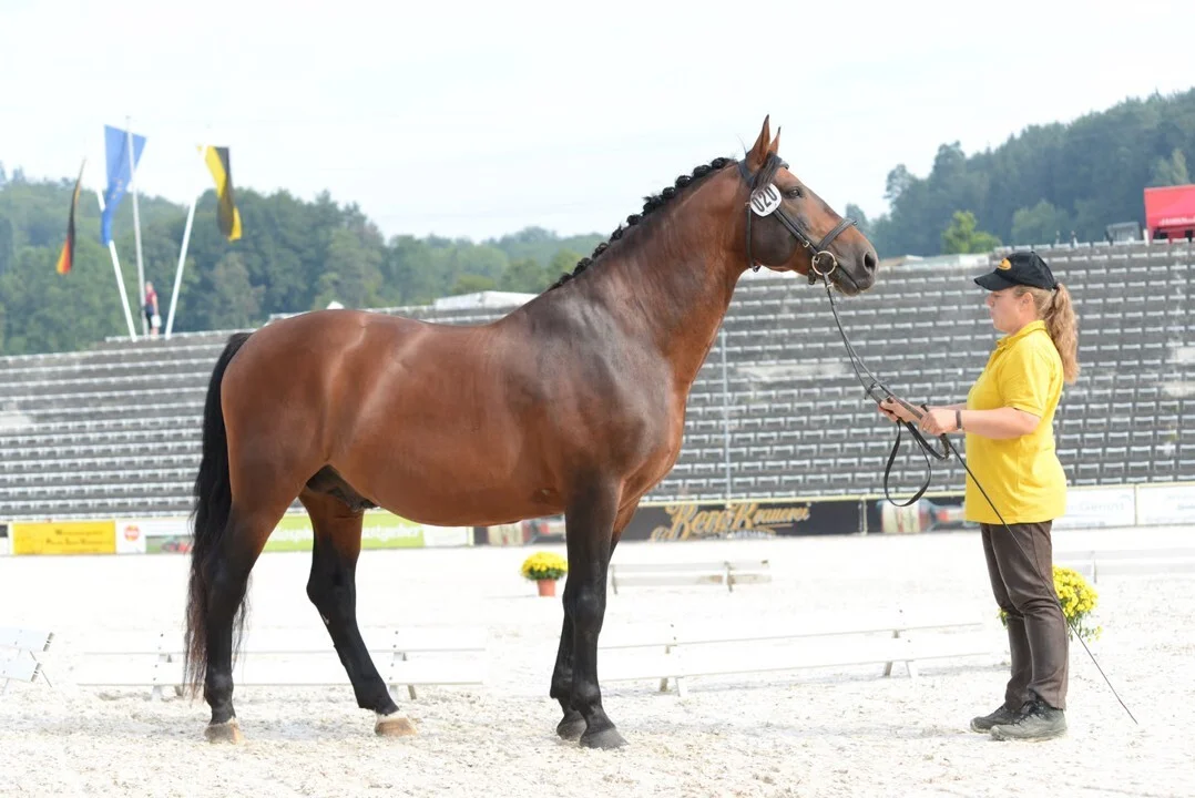 Sorius_Christine Zwicker