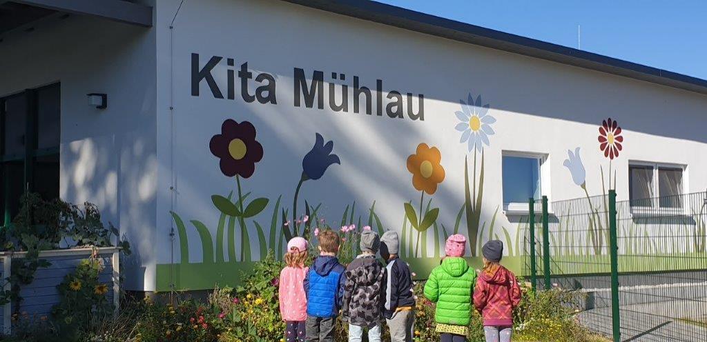 Kita Mühlau