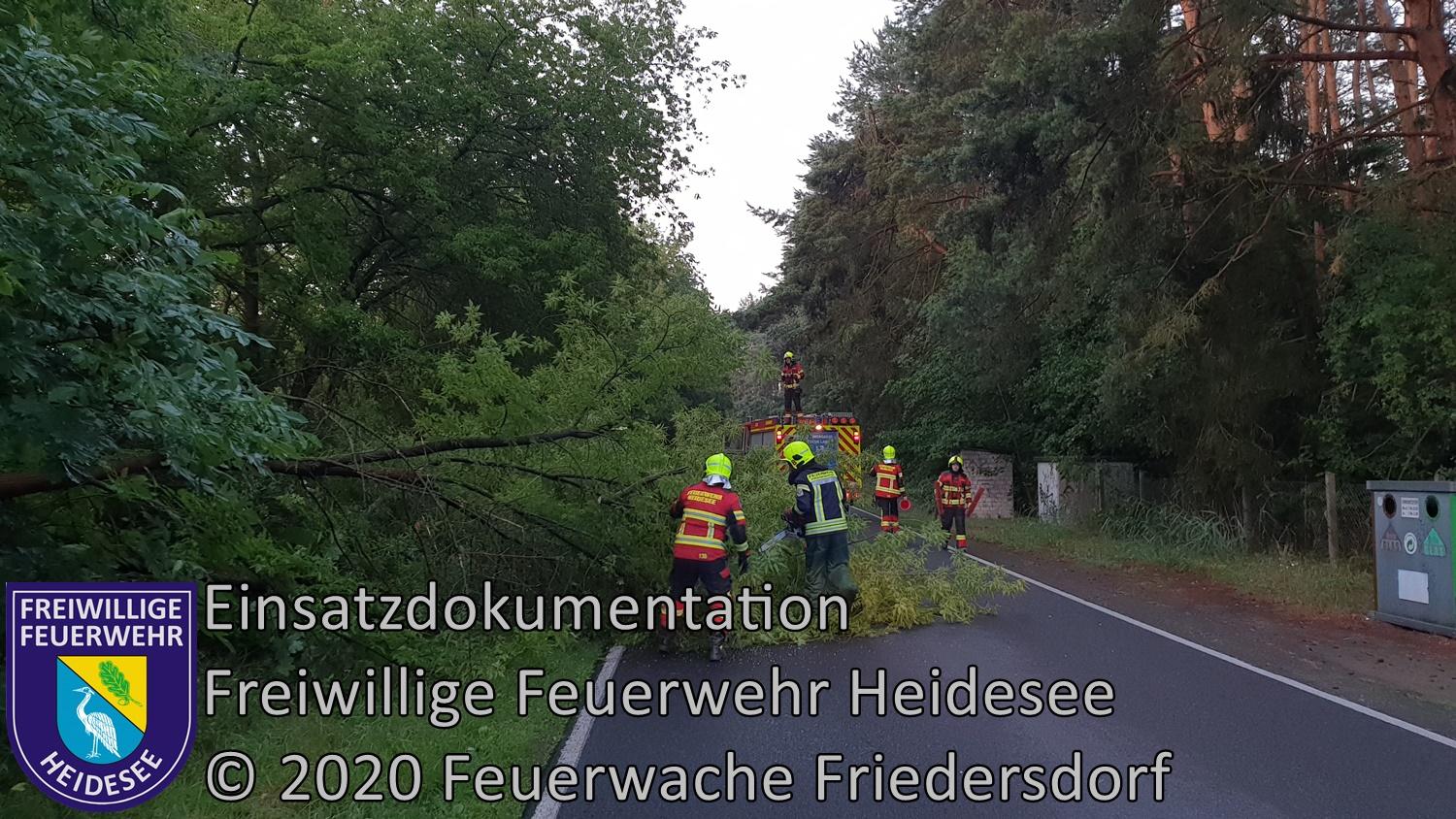 Einsatz 75/2020 | Baum auf Straße | L39 OV Blossin - Kolberg | 02.07.2020
