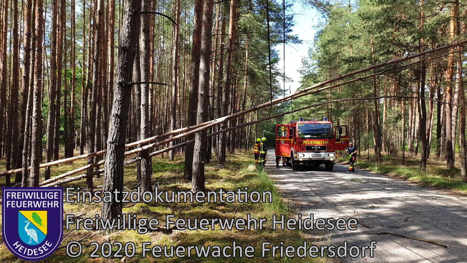 Einsatz 78/2020 | Baum in Telefonleitung | Friedersdorf Fürstenwalder Straße | 03.07.2020