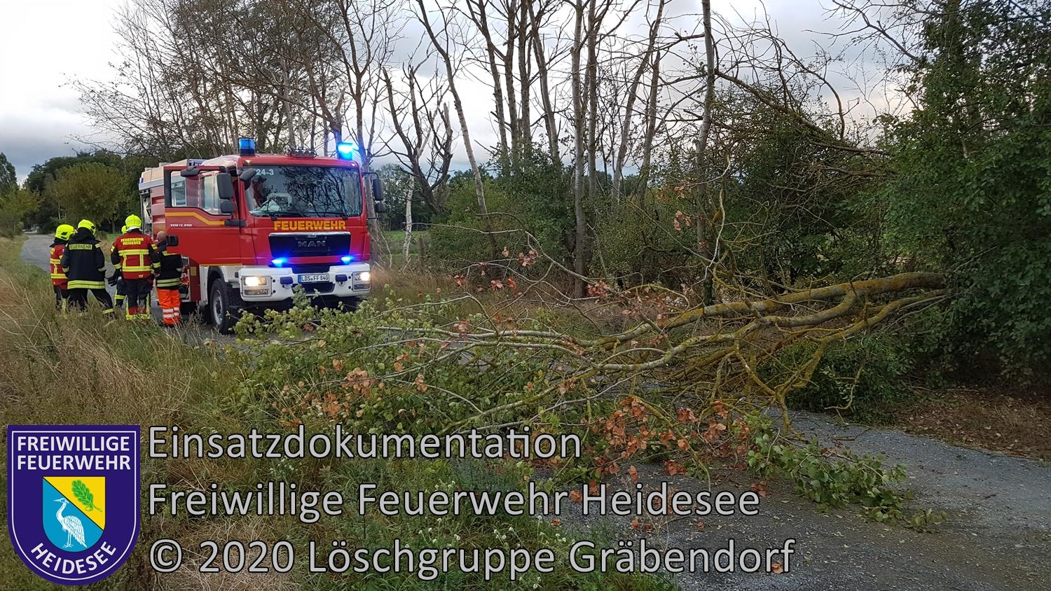 Einsatz 109/2020 | Baum auf Straße | Gräbendorf Senziger Weg | 27.08.2020