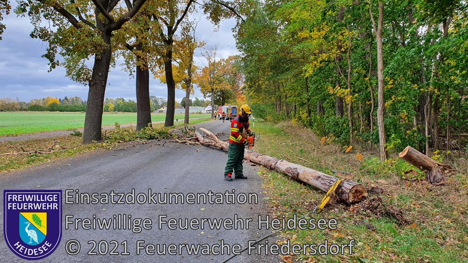 Einsatz 145/2021 | Baum droht auf Straße zu stürzen | Wolzig Friedersdorfer Straße | 21.10.2021