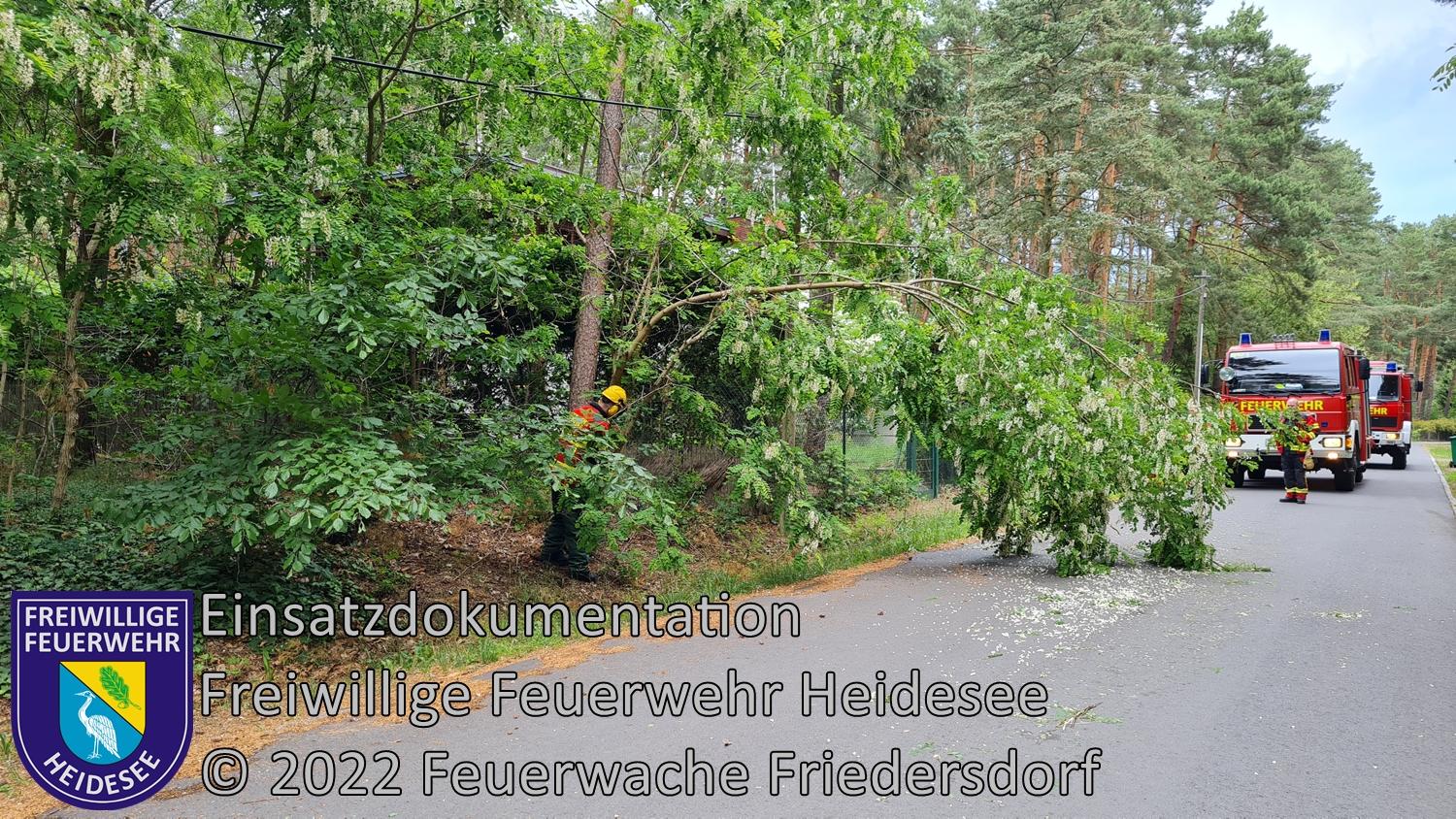 Einsatz 240/2022 | Baum über Straße | Bindow Mariannenstraße | 01.06.2022