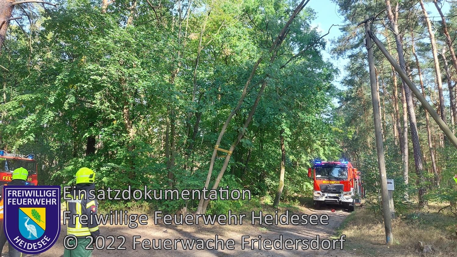 Einsatz 296/2022 | Baum droht in Telefonleitung zu stürzen | Friedersdorf Wilhelmstraße | 04.09.2022