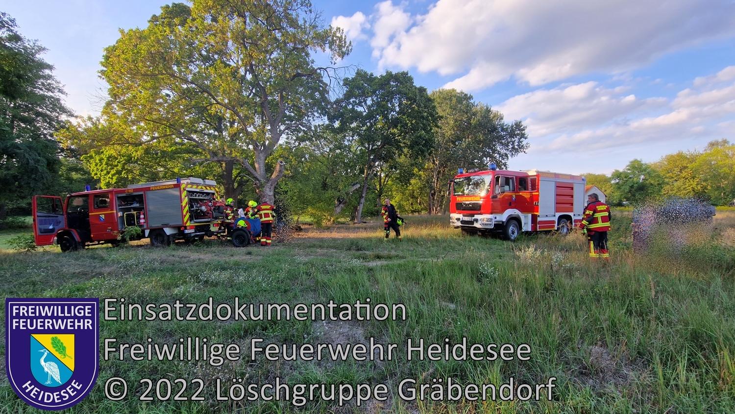 Einsatz 297/2022 | Brennender Baumstumpf | Bindow Grüne Trift | 05.09.2022