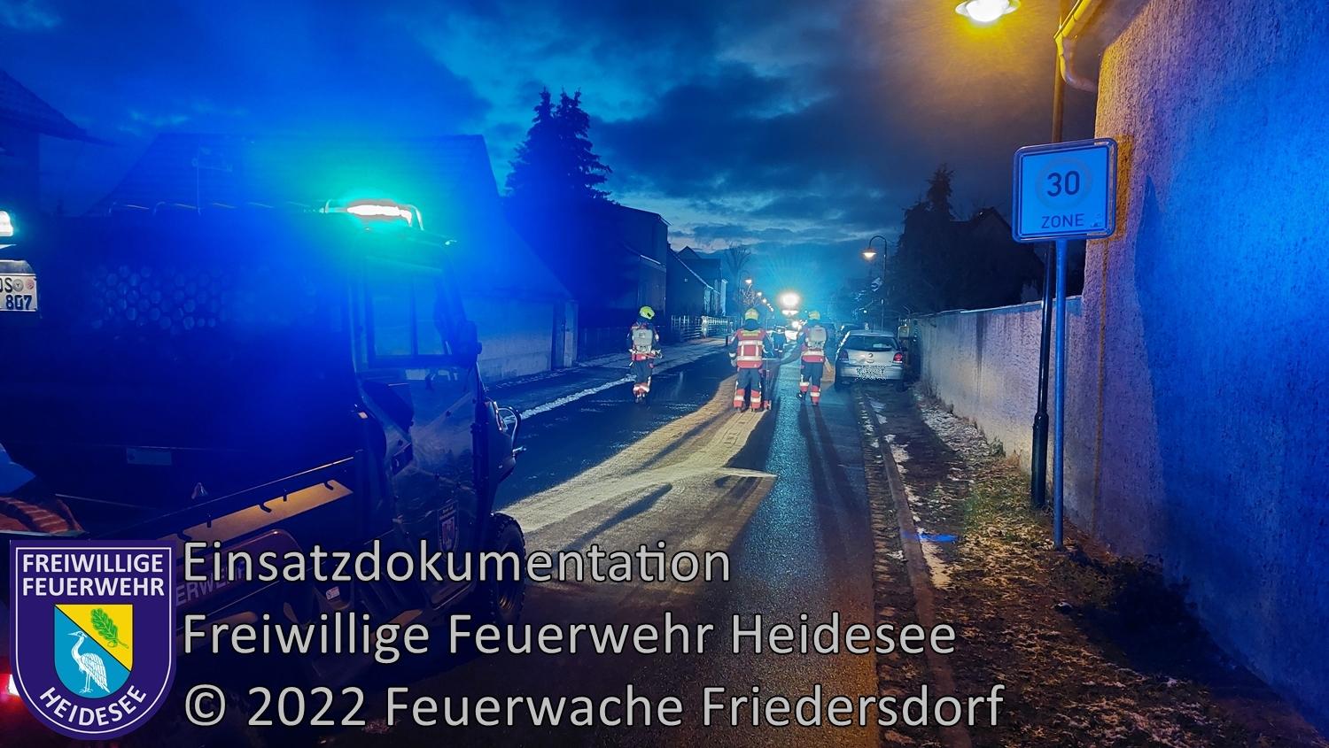 Einsatz 316/2022 | 350m Dieselspur | Friedersdorf Kastanienallee | 20.11.2022