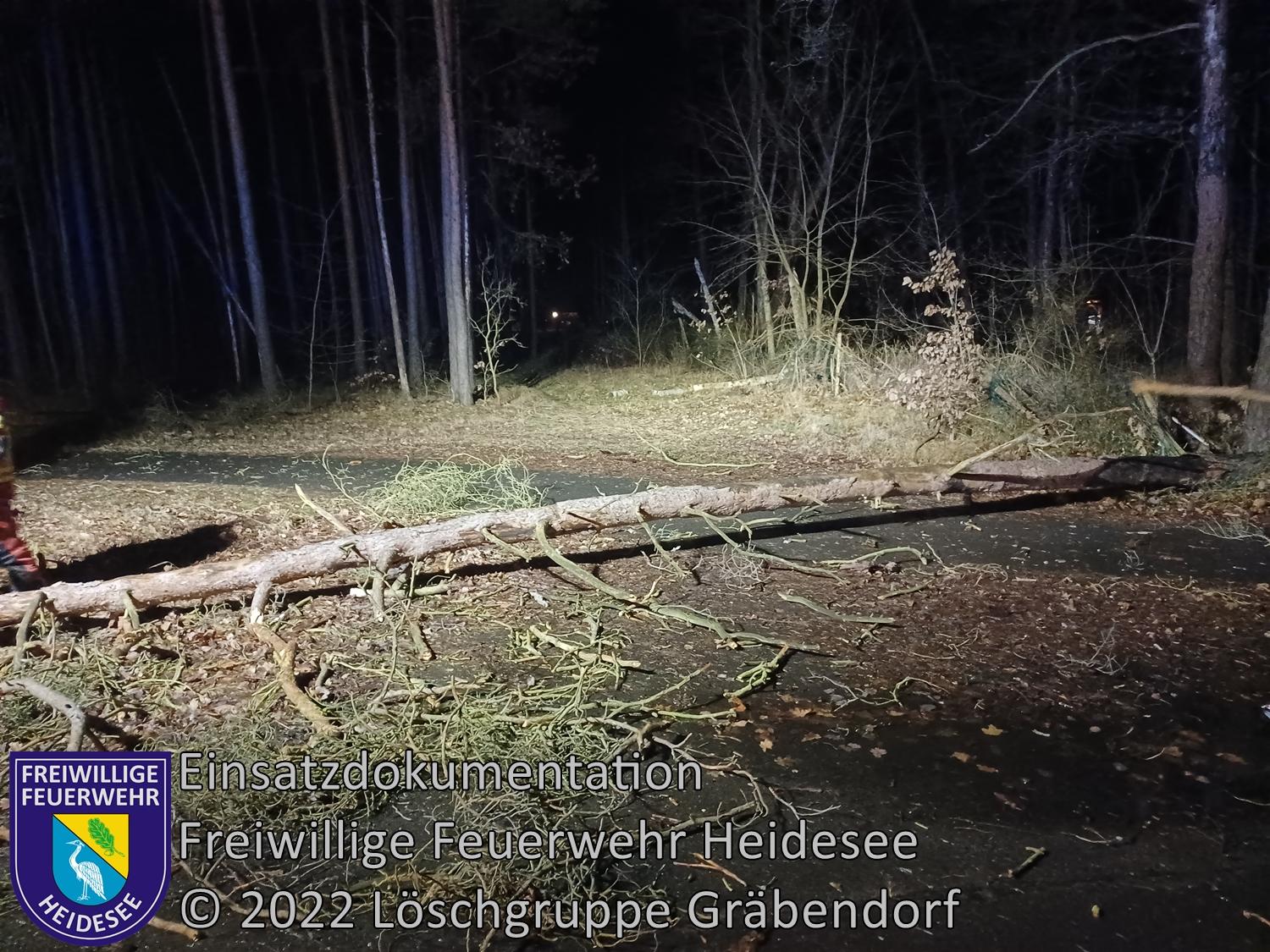 Einsatz 12/2022 | Baum auf Radweg | B246 OV Gräbendorf - Prieros | 30.01.2022