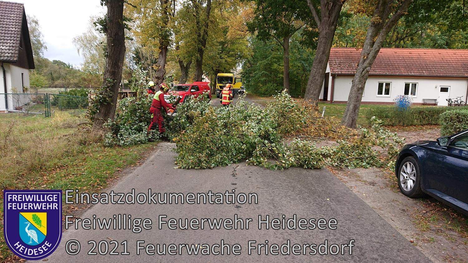 Einsatz 155/2021 | Baum auf Straße | Dolgenbrodt Bindower Allee | 21.10.2021