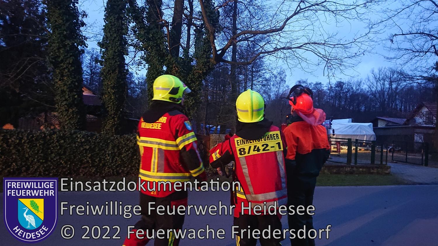 Einsatz 3/2022 | Baum droht zu stürzen | Bindow Ernst-Thälmann-Straße | 05.01.2022