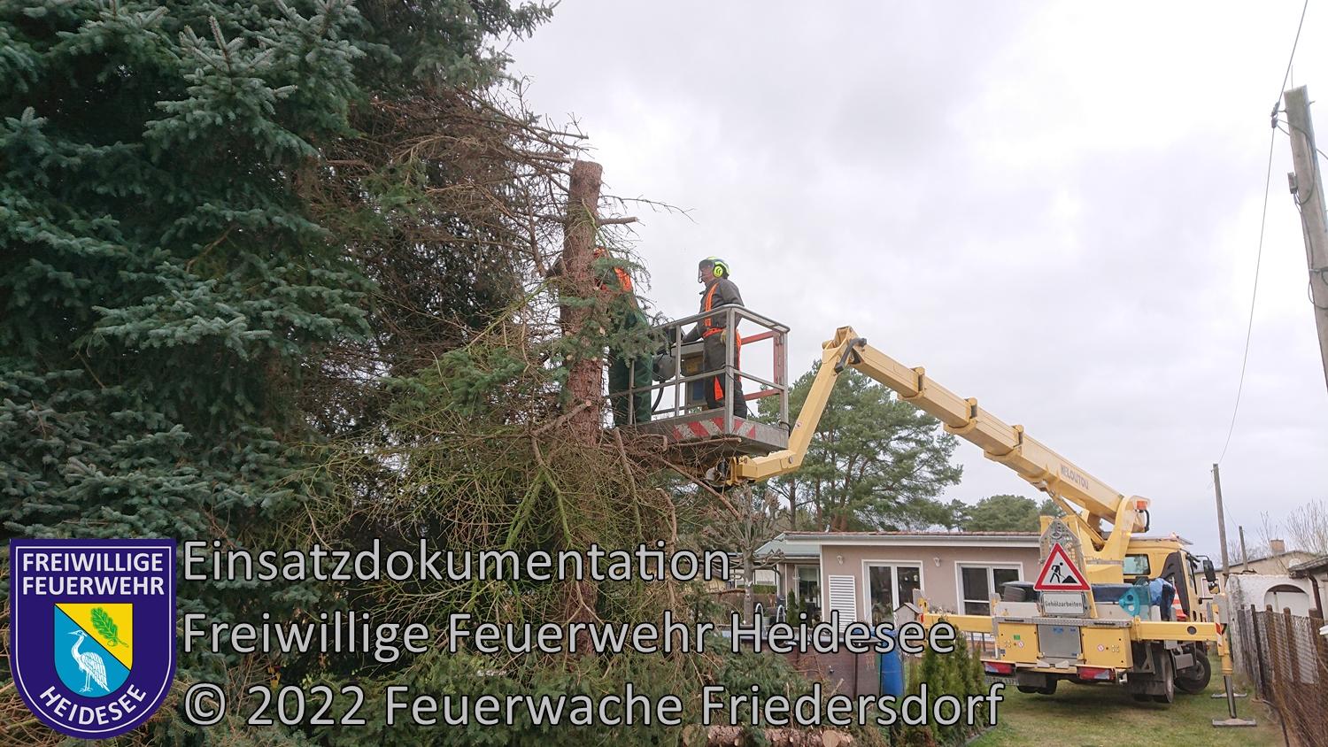 Einsatz 196/2022 | Baum droht auf Haus zu stürzen | Wolzig Blossiner Weg | 21.02.2022