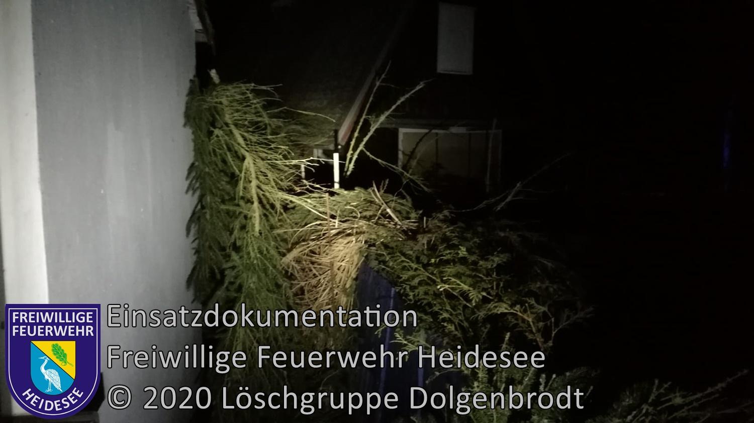 Einsatz 12/2020 | Baum auf Haus | Dolgenbrodt Fährwinkel | 10.02.2020