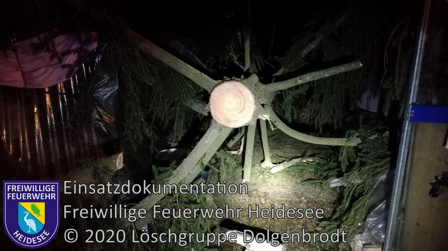 Einsatz 12/2020 | Baum auf Haus | Dolgenbrodt Fährwinkel | 10.02.2020