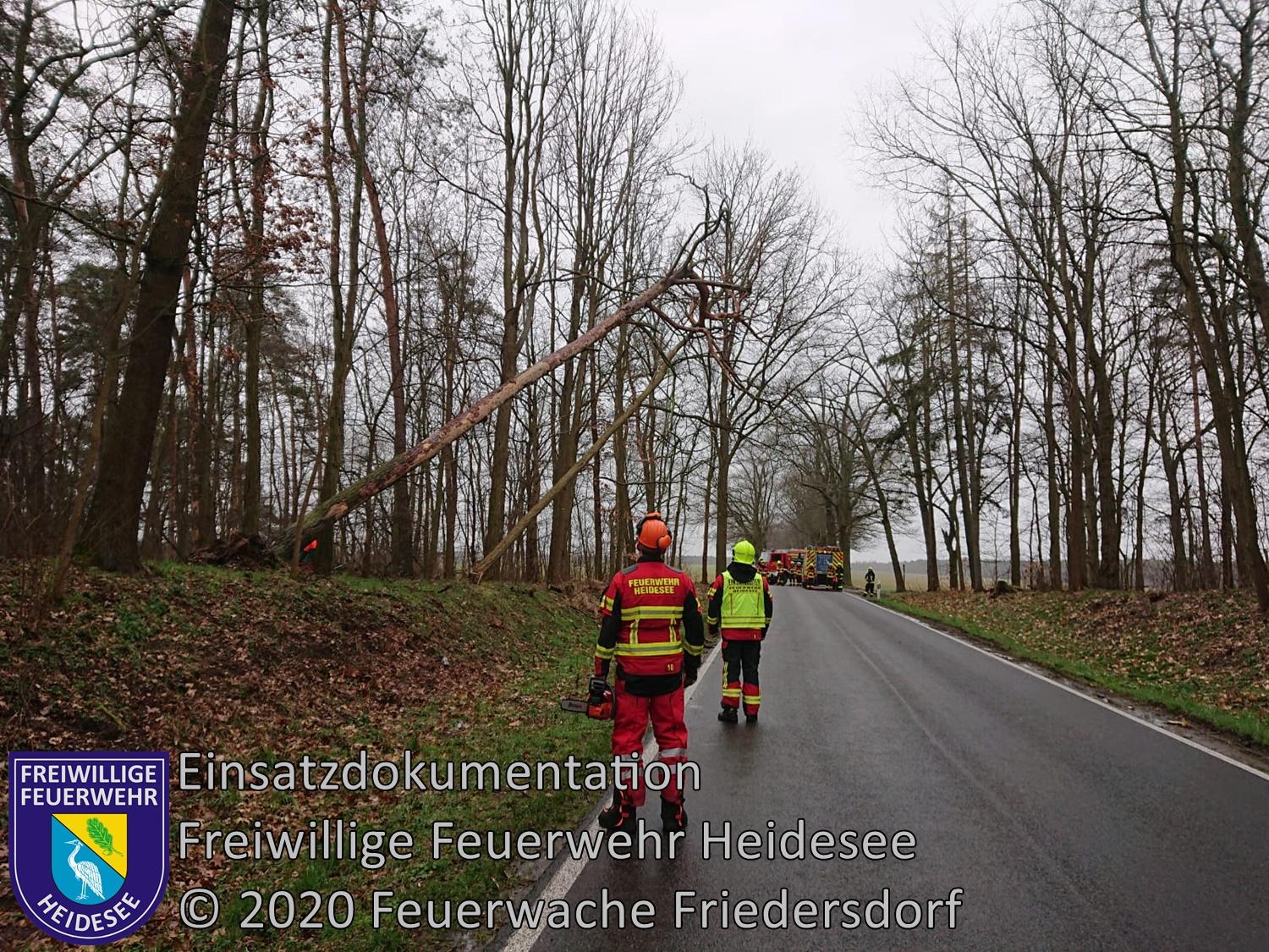 Einsatz 25/2020 | Baum droht auf Straße zu stürzen | L39 OV Friedersdorf - Blossin | 23.02.2020