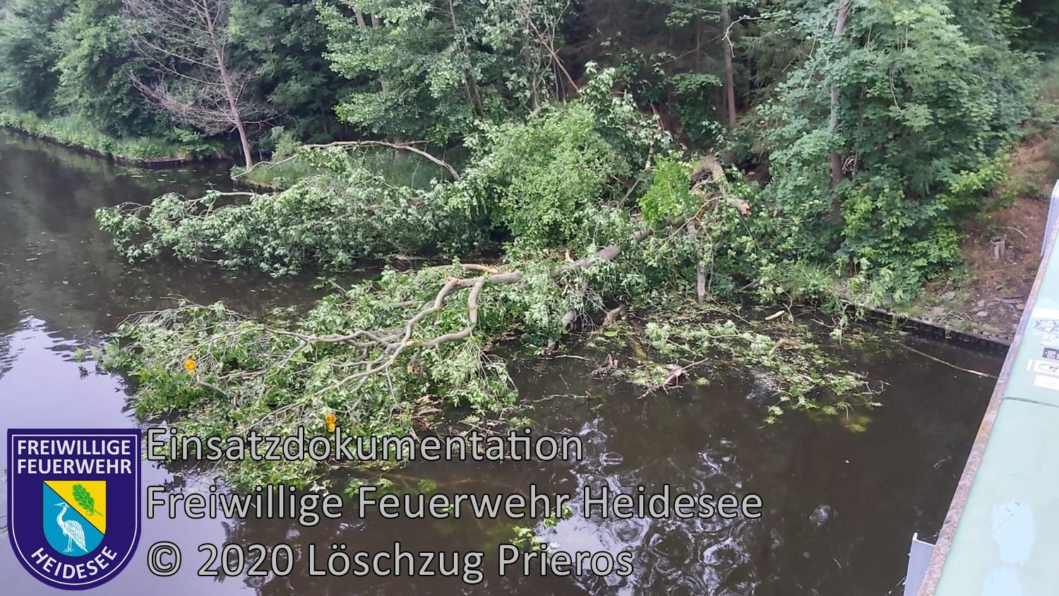 Einsatz 68/2020 | Baum im Wasser | Prieros Dahmebrücke | 11.06.2020