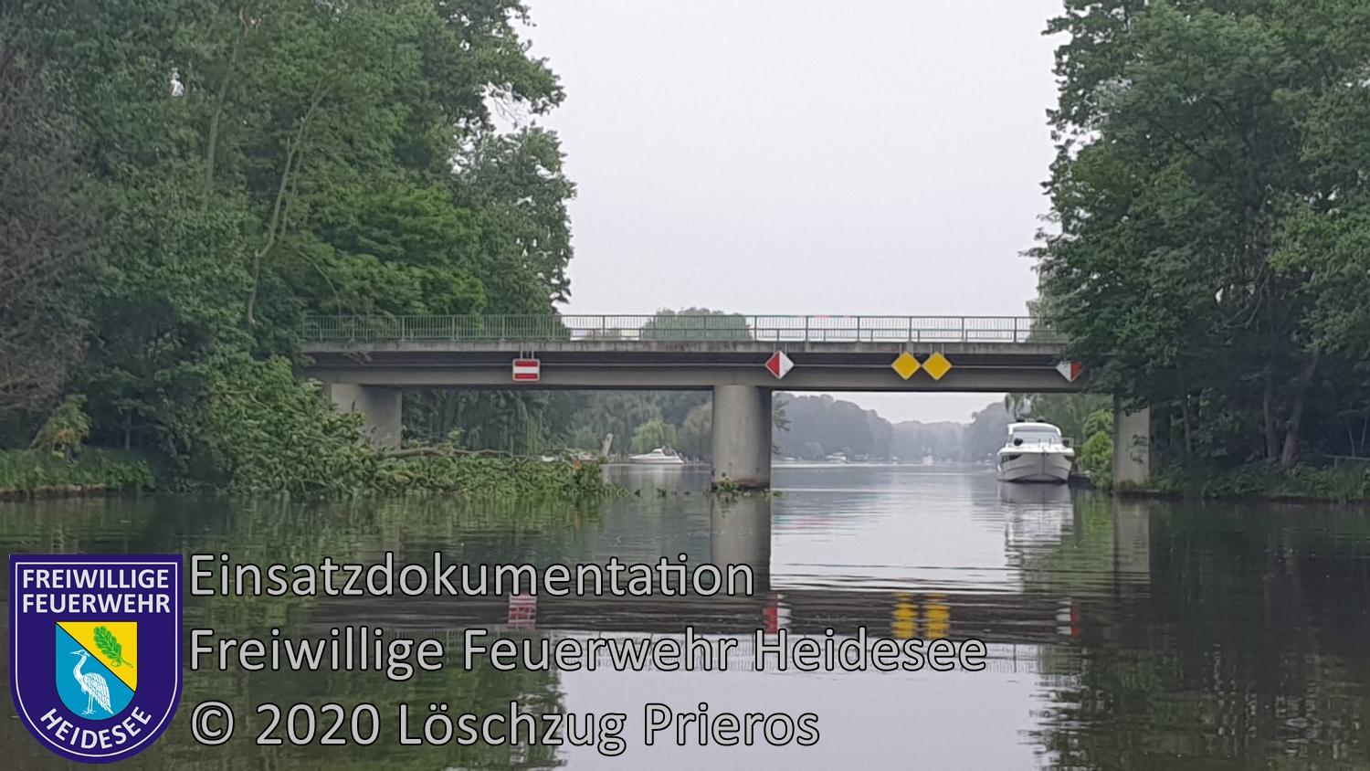 Einsatz 68/2020 | Baum im Wasser | Prieros Dahmebrücke | 11.06.2020