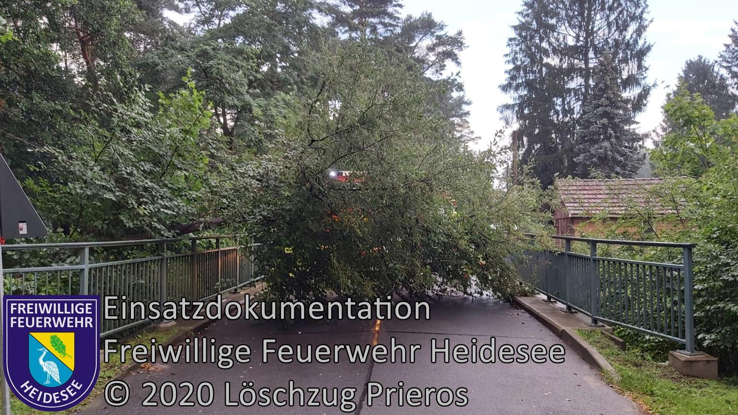 Einsatz 76/2020 | Baum auf Straße | Prieros Streganzer Straße | 02.07.2020