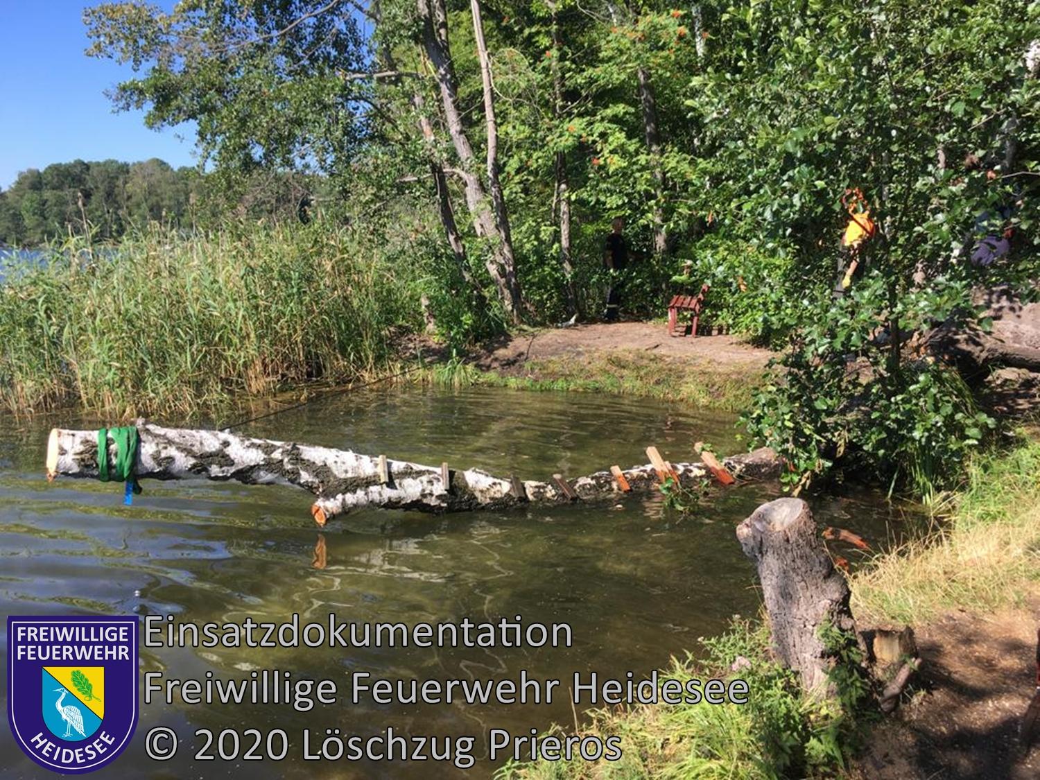 Einsatz 94/2020 | Baum im Wasser | Prieros Annemarienweg | 12.08.2020