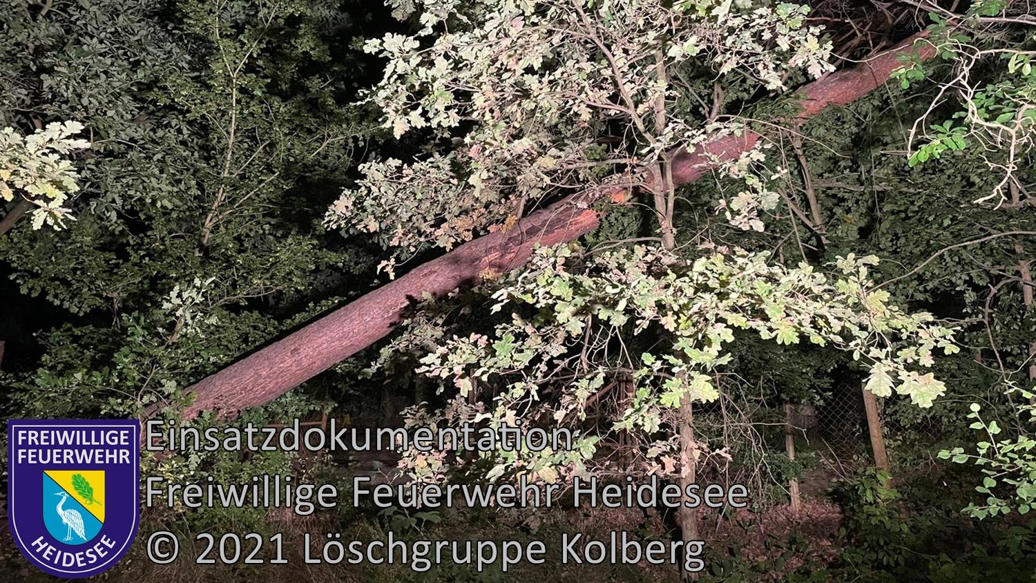 Einsatz 124/2021 | Baum droht zu stürzen | Kolberg Kurze Straße | 24.09.2021