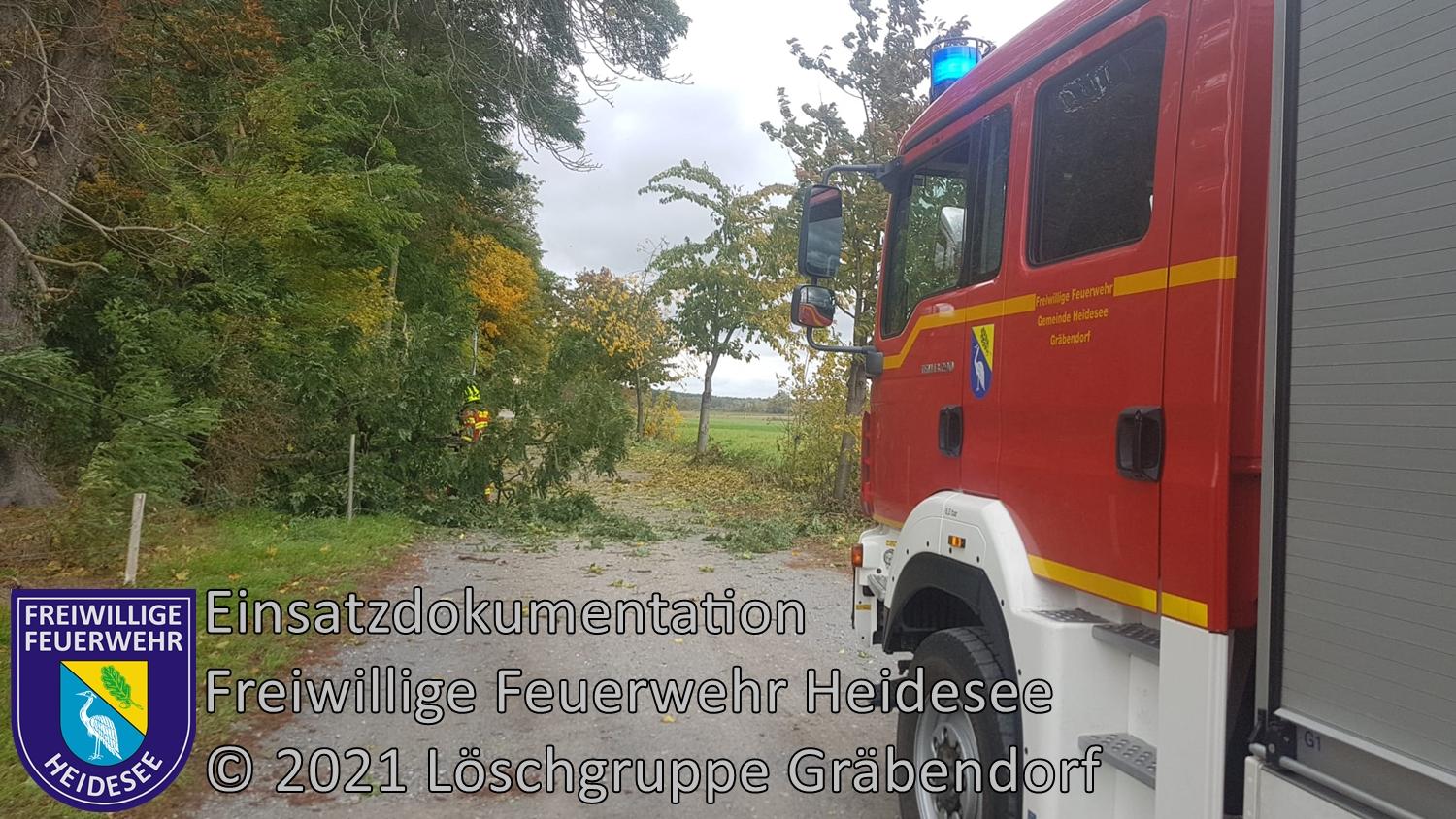 Einsatz 139/2021 | Baum auf Straße | Gräbendorf Senziger Weg | 21.10.2021