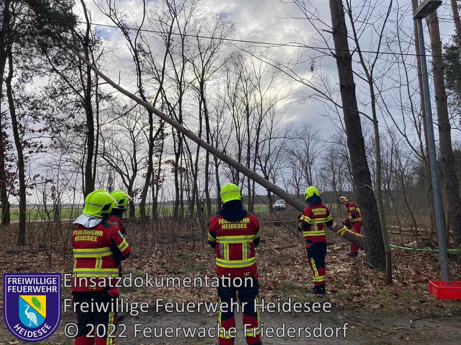 Einsatz 18/2022 | Baum droht zu stürzen | Friedersdorf Weg zum Sportplatz | 30.01.2022