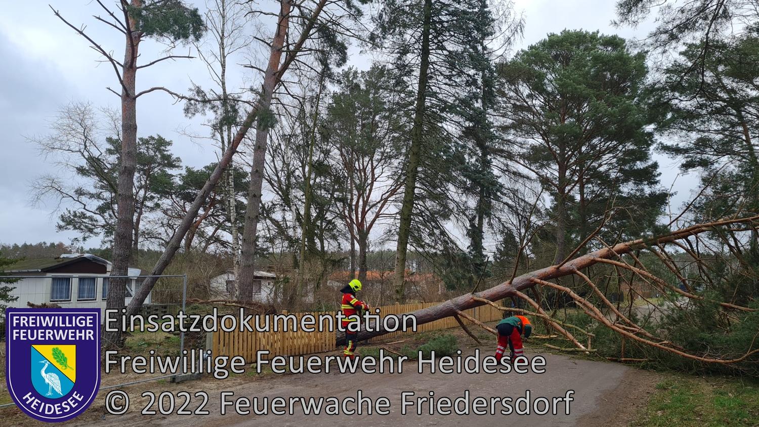 Einsatz 19/2022 | Baum auf Straße | Bindow Am Birkenhain | 30.01.20222