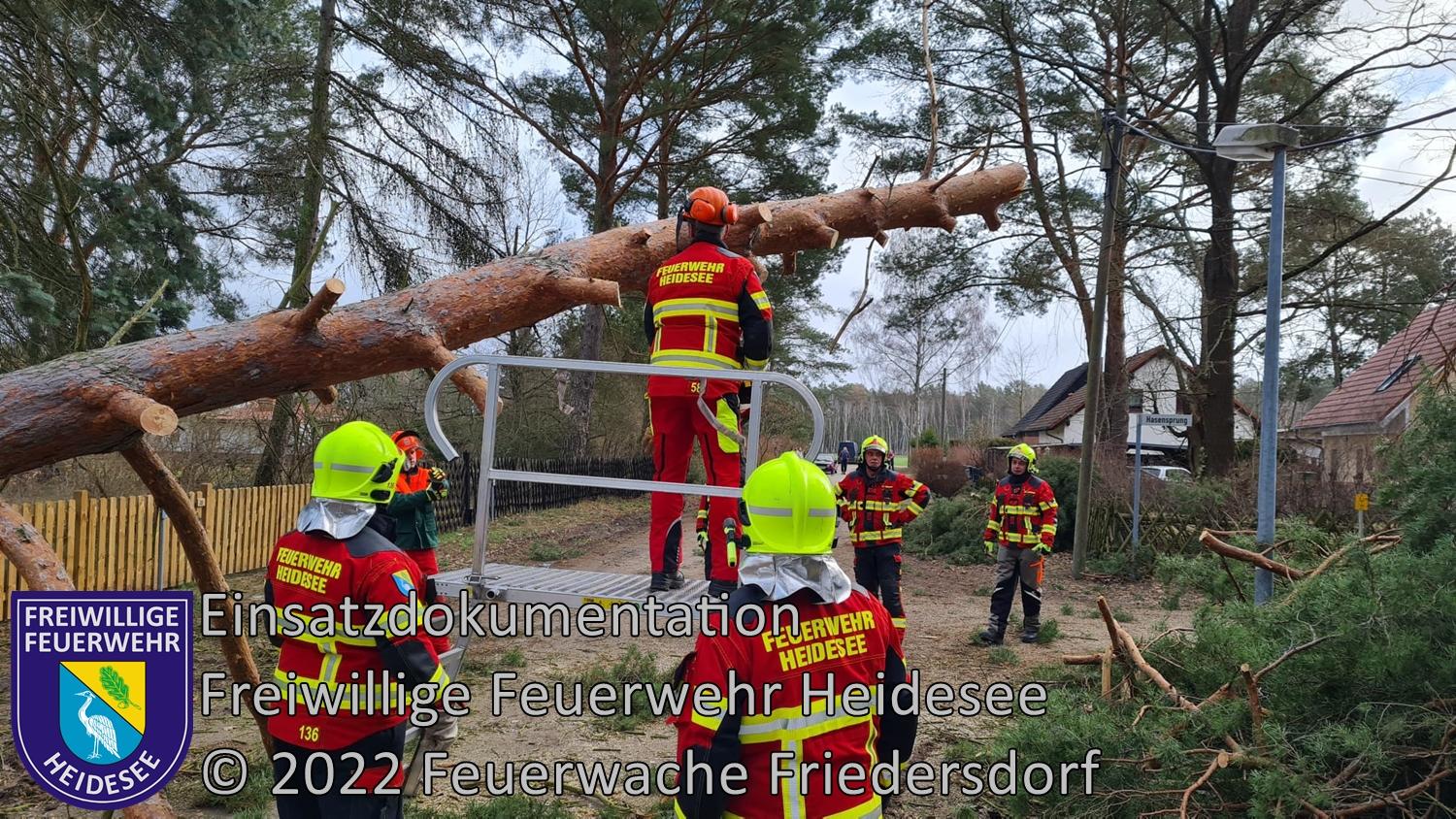 Einsatz 19/2022 | Baum auf Straße | Bindow Am Birkenhain | 30.01.20222