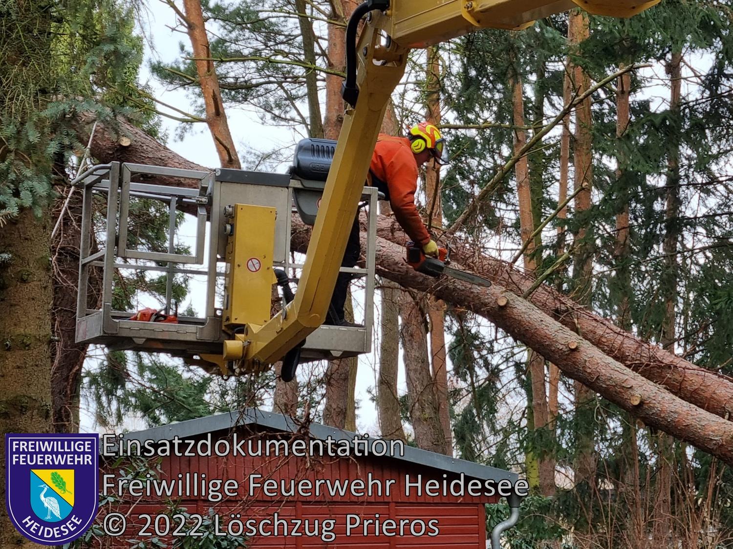 Einsatz 16/2022 | Baum über Straße | Friedrichsbauhof Dahmestraße | 30.01.2022