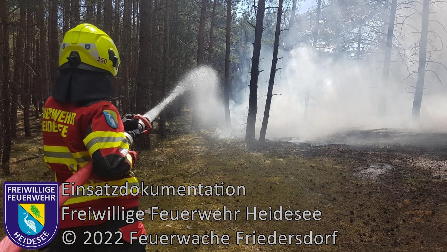Einsatz 241/2022 | 2600m² Waldbodenbrand | Friedersdorf Wettenweg | 10.06.2022