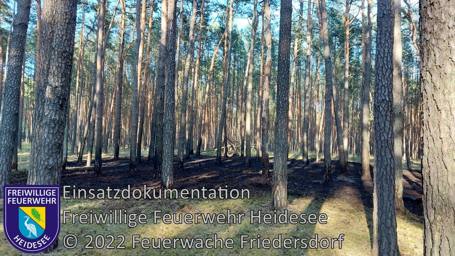 Einsatz 242/2022 | 500m² Waldbodenbrand | Friedersdorf Spreestraße | 10.06.2022
