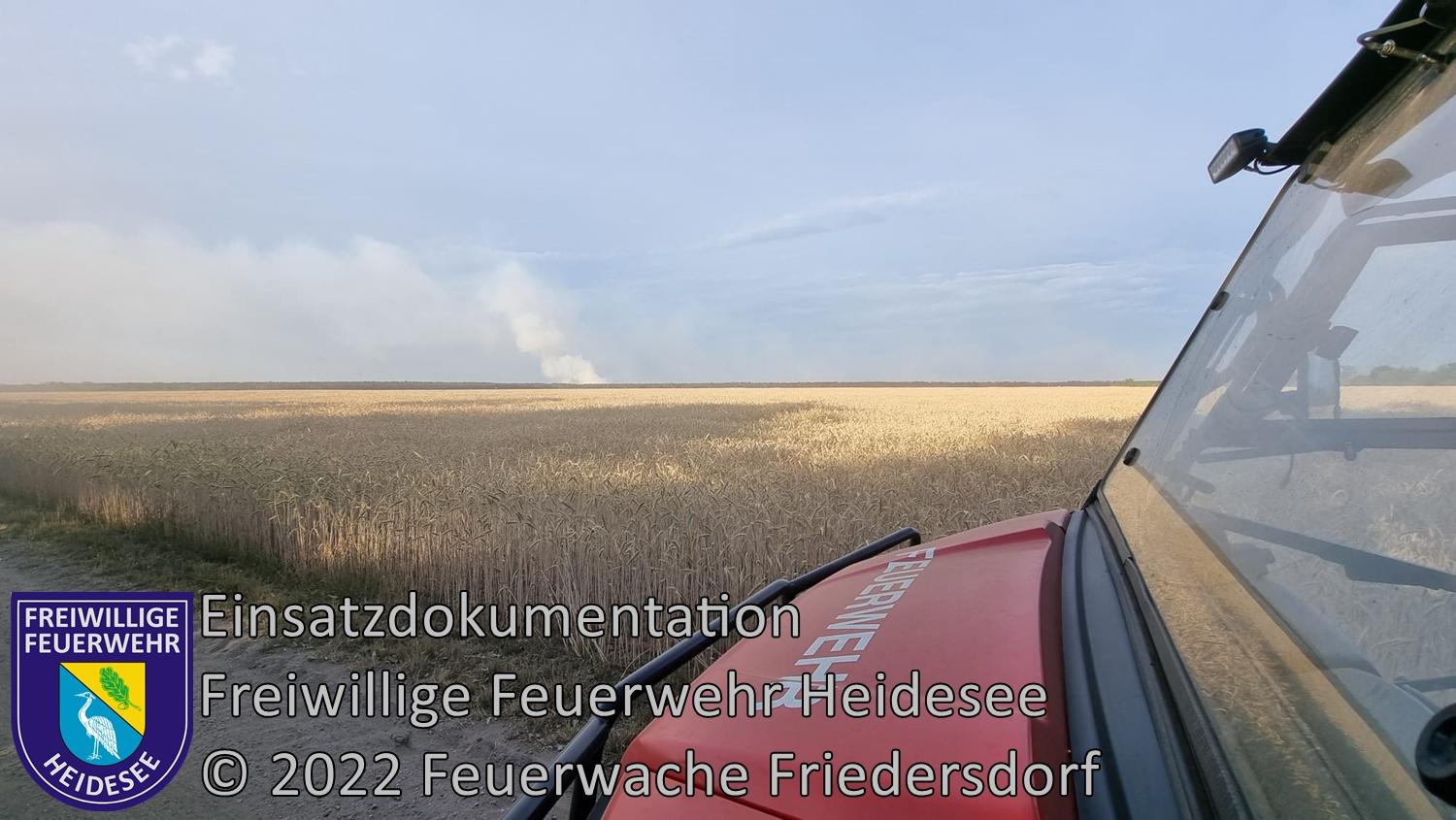 Einsatz 254/2022 | 800 Hektar Waldbrand | Mühlberg/Elbe (EE) | 24.06.2022