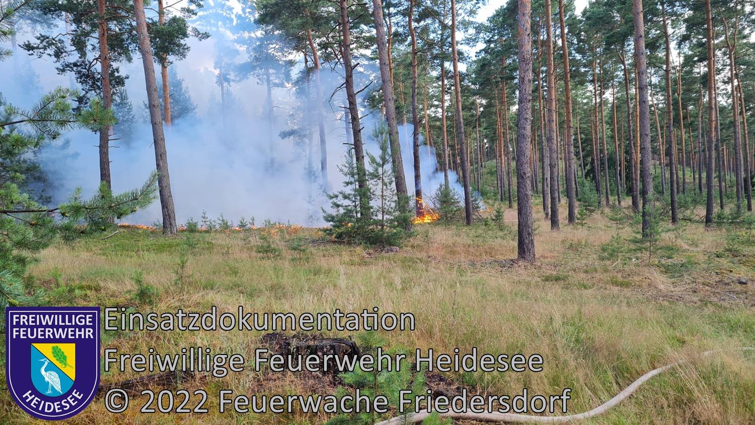 Einsatz 260/2022 | 86 Hektar Waldbrand | Butzen Lieberoser Heide | 04.07.2022