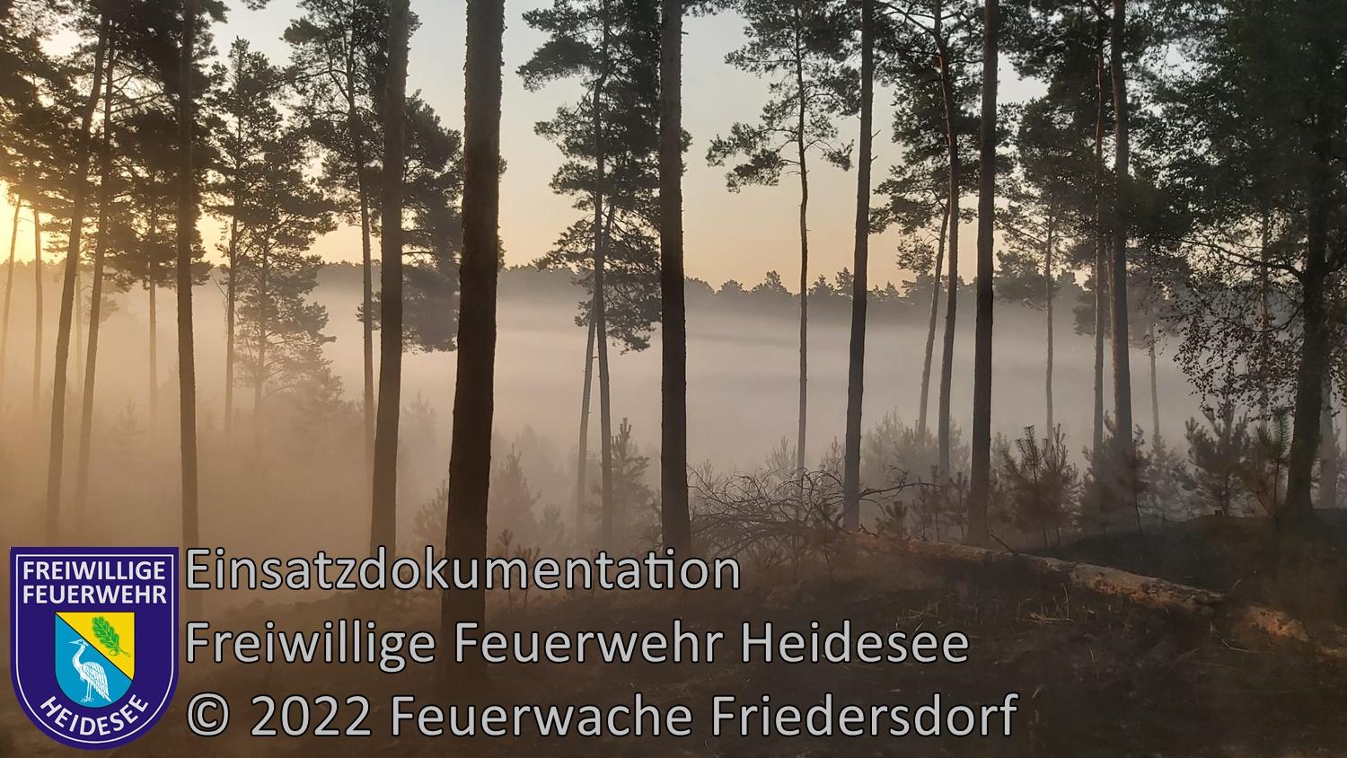 Einsatz 269/2022 | Nachlöscharbeiten | Lieberoser Heide | 19.07.2022