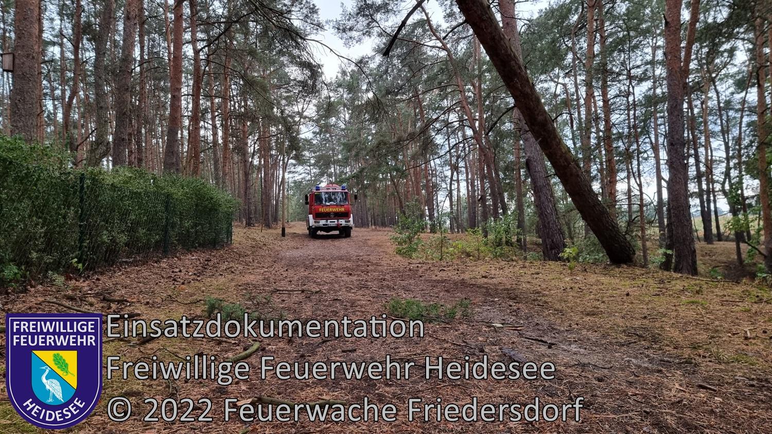 Einsatz 287/2022 | Baum droht zu stürzen | Streganz Streganzberg | 15.08.2022