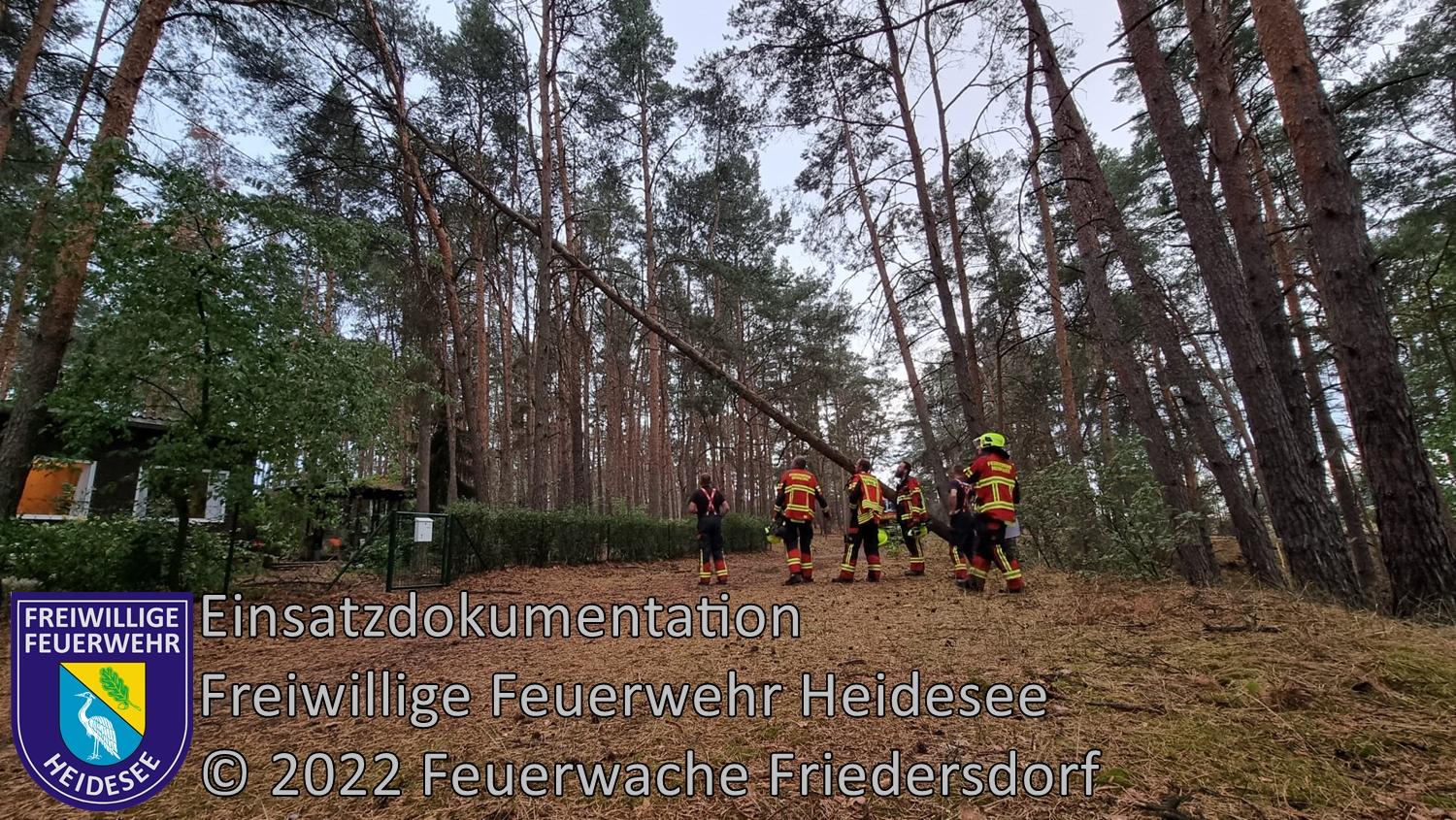 Einsatz 287/2022 | Baum droht zu stürzen | Streganz Streganzberg | 15.08.2022