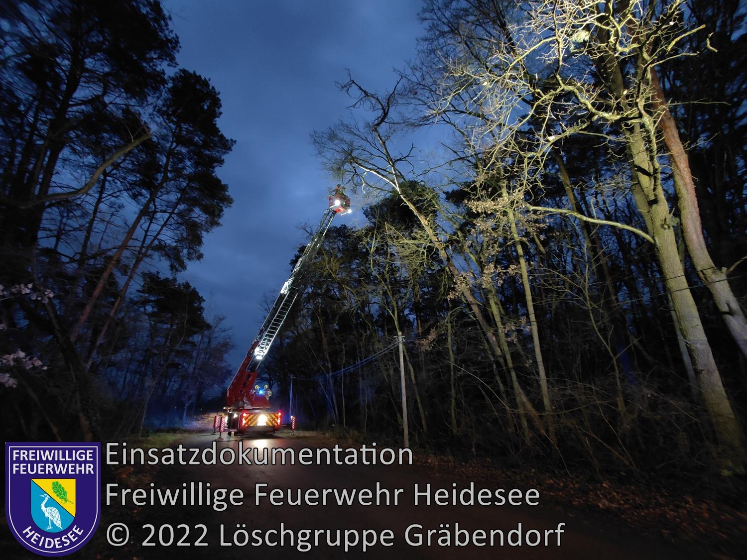 Einsatz 10/2022 | Baum droht zu stürzen | Gräbendorf Wusterhausener Straße | 29.01.2022