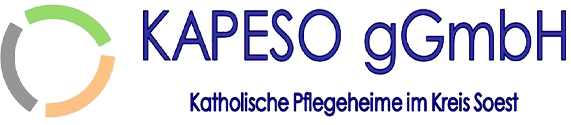 logo-kapeso-gmbh-transparent