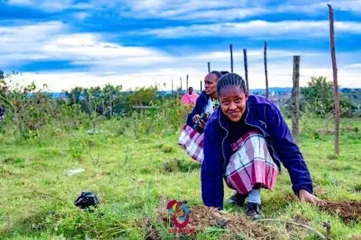 Trees for Girls